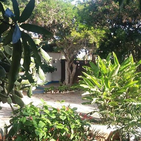 Hotel Geribá House Buzios Exteriér fotografie